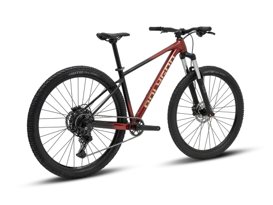 אופני הרים Polygon Xtrada 5 29 2026 – תמונה 4